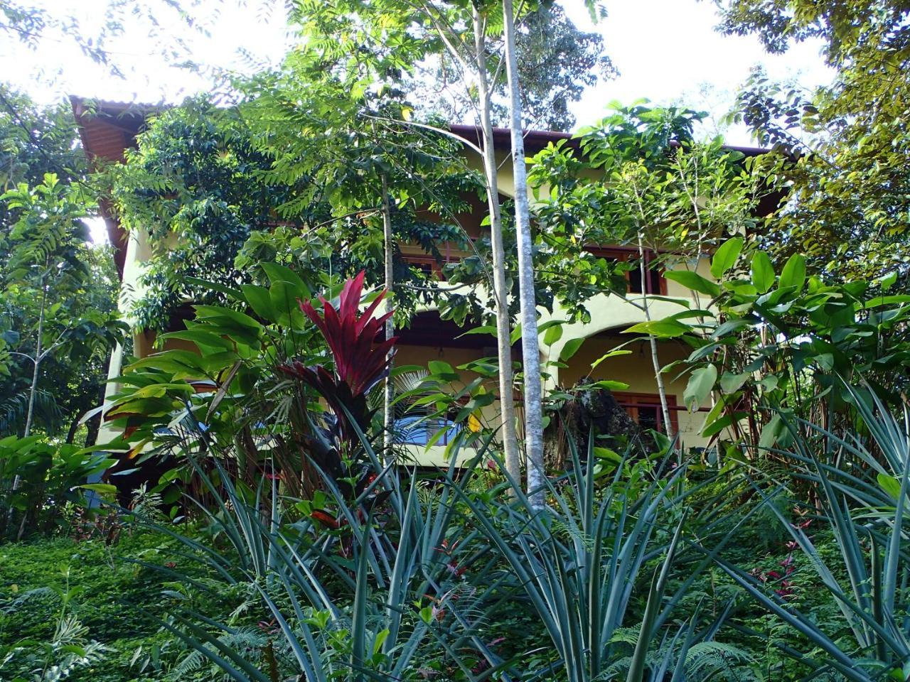 Morrillo Beach Eco Resort Eksteriør bilde