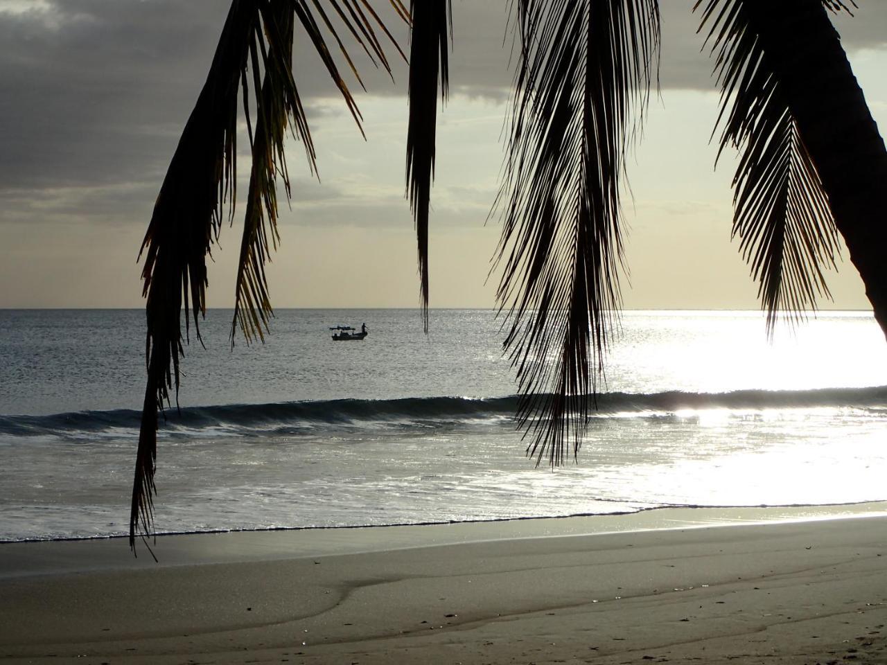 Morrillo Beach Eco Resort Eksteriør bilde