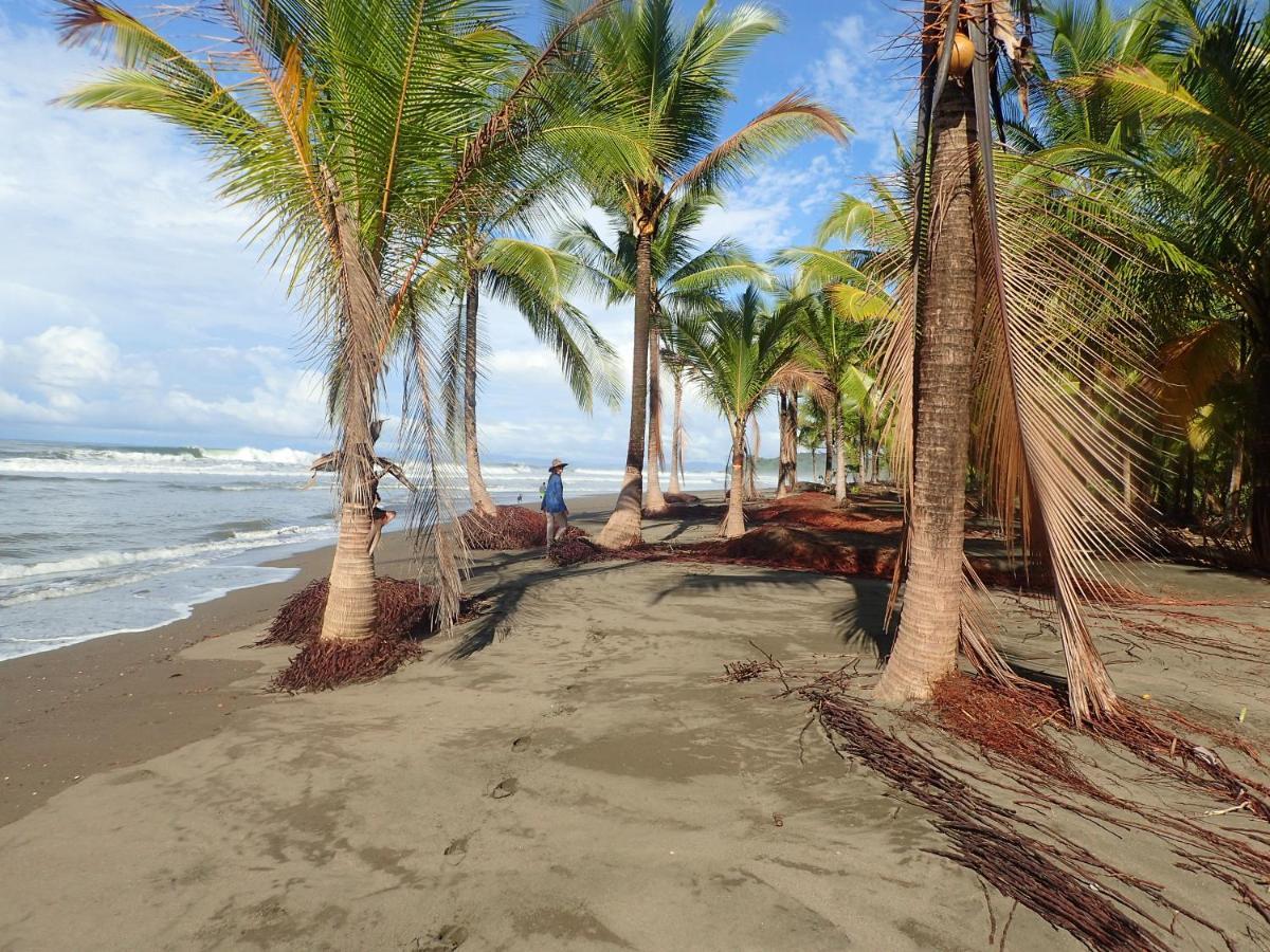 Morrillo Beach Eco Resort Eksteriør bilde